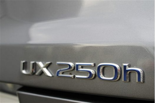 Lexus UX - 250h Business Line NIEUW - 1