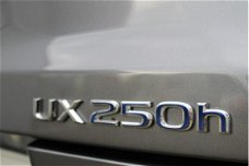 Lexus UX - 250h Business Line NIEUW