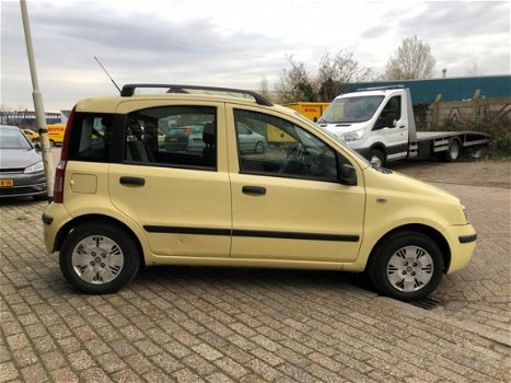 Fiat Panda - 1.2 Edizione Cool - 1