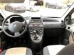 Fiat Panda - 1.2 Edizione Cool - 1 - Thumbnail