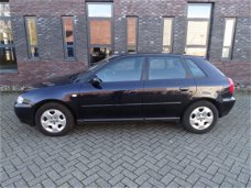 Audi A3 - 1.6 Attraction mooie auto