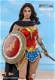 Hot Toys Exclusive Justice League Wonder Woman Concept Version MMS506 - 2 - Thumbnail