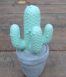 CACTUSSEN - BETON (3)