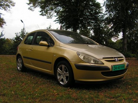 Peugeot 307 - 1.6-16V Gentry Goudkleurige ruime peugeot met wat gebruikerssporen - 1