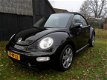 Volkswagen Beetle - NEW CABRIO 1.8 TURBO TURIJN COMFORTABT TUNING6494 EURO - 1 - Thumbnail