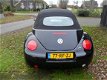 Volkswagen Beetle - NEW CABRIO 1.8 TURBO TURIJN COMFORTABT TUNING6494 EURO - 1 - Thumbnail