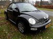 Volkswagen Beetle - NEW CABRIO 1.8 TURBO TURIJN COMFORTABT TUNING6494 EURO - 1 - Thumbnail