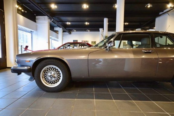 Jaguar XJS - Xj-s V12 - Afbeelding 5