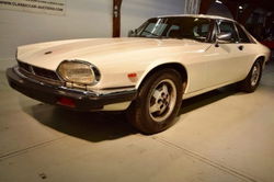 Jaguar XJS - Xj-s V12 Coupé