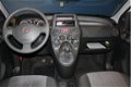 Fiat Panda - 1 - Thumbnail