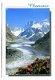 A031 Chamonix Mont Blanc La Mer de Glace et les Grandes Jorasses / Frankrijk - 1 - Thumbnail