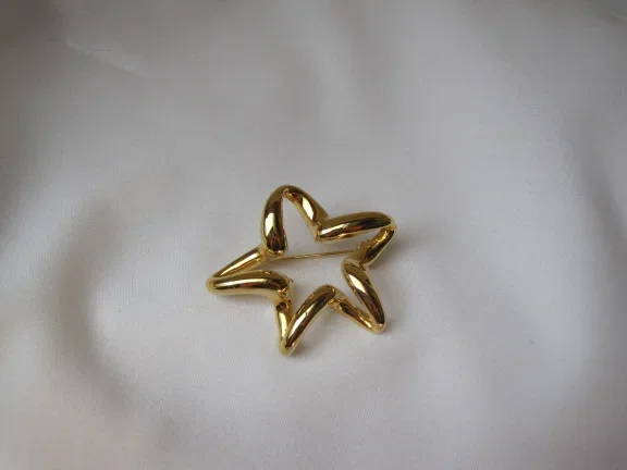 Broche goudkleurig ster model 4.8x3.9 cm. - Afbeelding 3