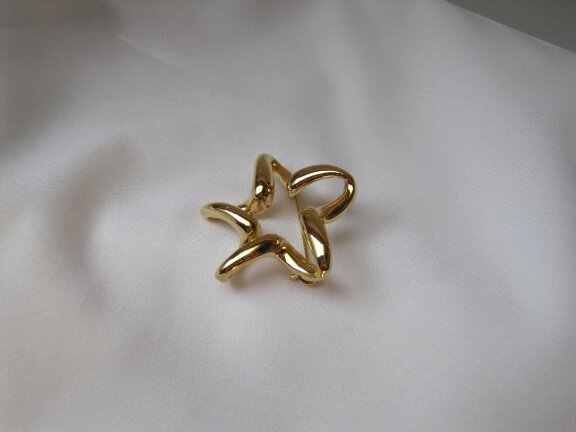 Broche goudkleurig ster model 4.8x3.9 cm. - Afbeelding 5