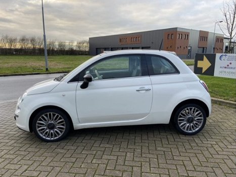 Fiat 500 - 0.9 TwinAir Turbo Cult Panoramadak/Leer/Automaat - 1