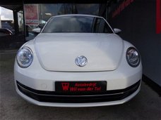 Volkswagen Beetle - 1.2 TSI DESIGN EDITION | DSG-AUTOMAAT | CRUISE | CLIMA | ALL-IN
