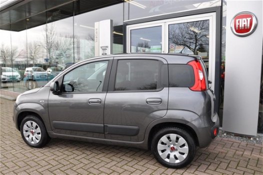 Fiat Panda - TwinAir Turbo 80PK Lounge 5 jaar fabrieksgarantie - 1