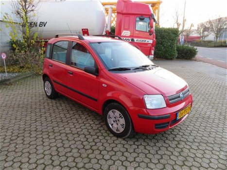 Fiat Panda - 1.2 Dynamic - 1