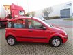 Fiat Panda - 1.2 Dynamic - 1 - Thumbnail