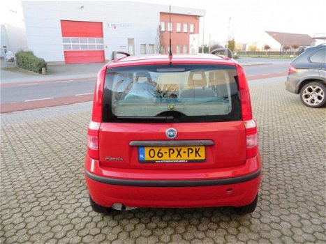 Fiat Panda - 1.2 Dynamic - 1