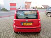 Fiat Panda - 1.2 Dynamic - 1 - Thumbnail