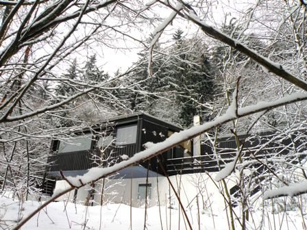 Luxe huis Sauerland met SAUNA aan bosrand. HOND WELKOM - 1