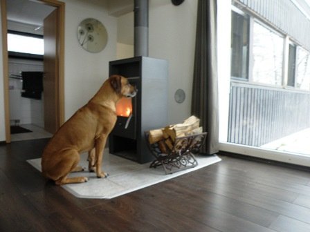 Luxe huis Sauerland met SAUNA aan bosrand. HOND WELKOM - 4