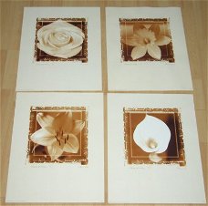 BLOEMEN WIT MET BRUINE ACHTERGROND  4 POSTERS NIEUW