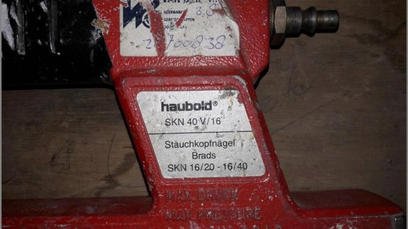 koploze spijker tacker haubold 40 mm - 2