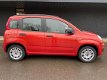 Fiat Panda - 1.2 Edizione Cool Dealeronderhouden - 1 - Thumbnail