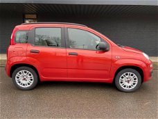 Fiat Panda - 1.2 Edizione Cool Dealeronderhouden