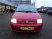 Fiat Panda - 1.2 Edizione Cool Airco - 1 - Thumbnail