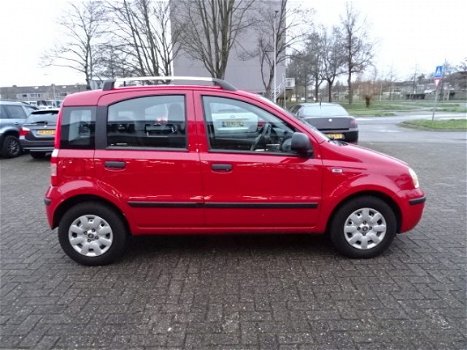 Fiat Panda - 1.2 Edizione Cool Airco - 1