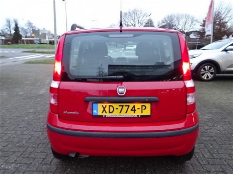 Fiat Panda - 1.2 Edizione Cool Airco - 1