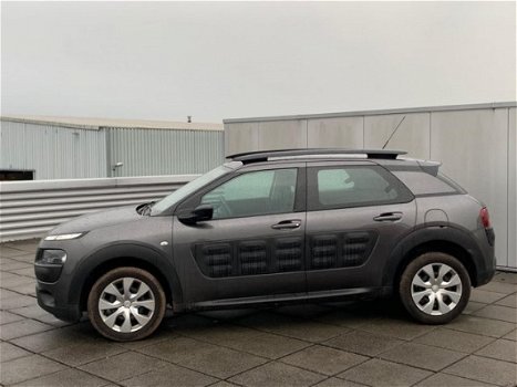 Citroën C4 Cactus - 1.2 PureTech Business Navigatie, Climate control - 1