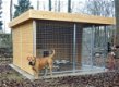 Houten hondenren - Model JARO - Nieuw - - 3 - Thumbnail