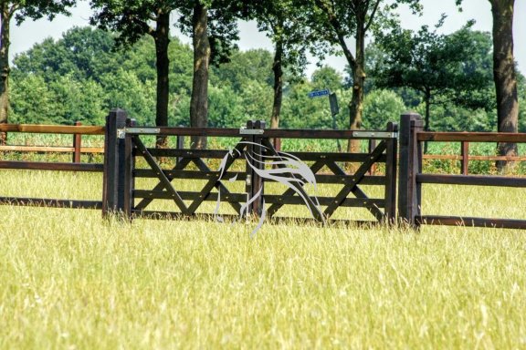 Veld Omheiningen, Houten poort, weide poort, landhekken - Afbeelding 6