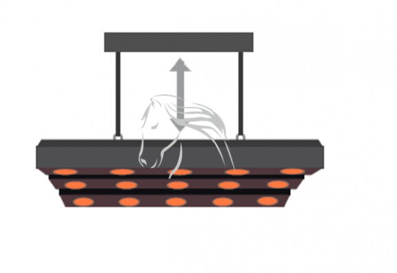 Veld Omheiningen, paarden solarium, solarium - Afbeelding 4