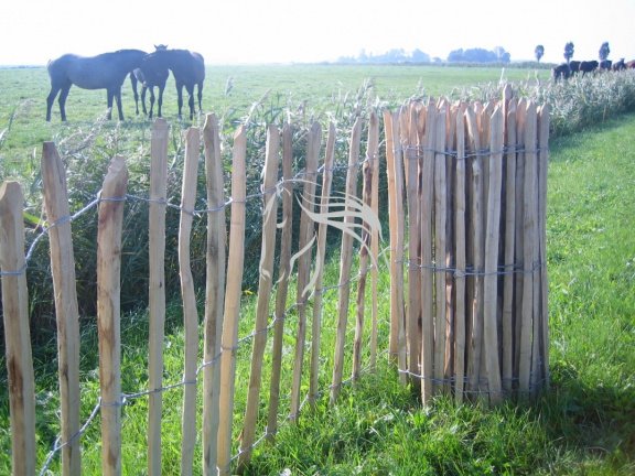 Veld Omheiningen, Frans hekwerk, Schapenhek, Kippenhek, Rolhek - Afbeelding 4