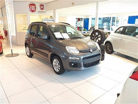 Fiat Panda - 1.2 Lounge - 1