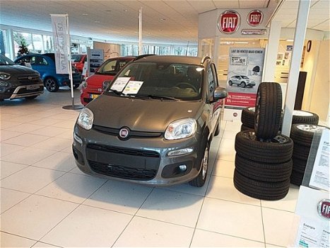 Fiat Panda - 1.2 Lounge - 1