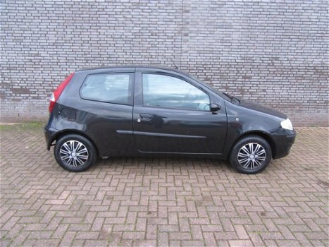 Fiat Punto - 1.2 Dynamic - 1