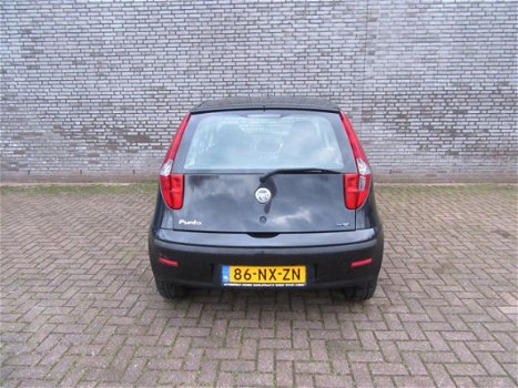 Fiat Punto - 1.2 Dynamic - 1