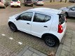 Suzuki Alto - 1.0 Exclusive GT uitvoering/Airco/LMvelgen - 1 - Thumbnail