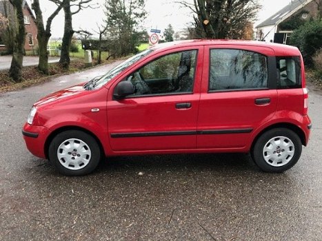 Fiat Panda - 1.2 Active - 1