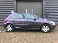 Peugeot 307 - XT Pack 1.6 16V