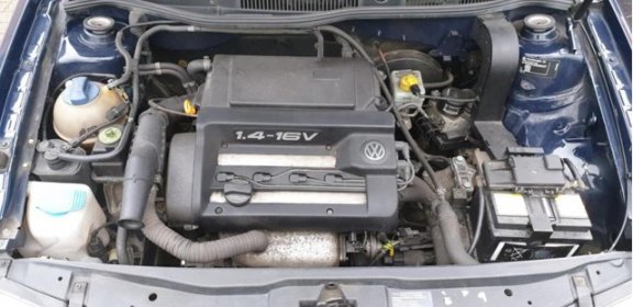 Volkswagen Golf - 1.4-16V Km-Stand met NAP / Onderhoudsboekjes aanwezig / APK 1 Jaar etc - 1