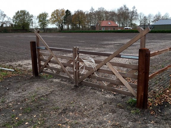 Veld Omheiningen, Engelse houten poort met hoorn, Landelijk - Afbeelding 4
