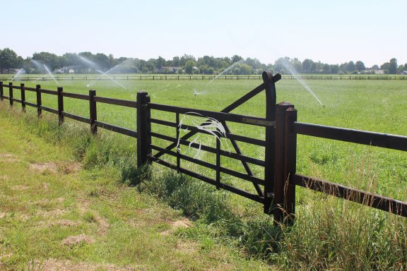Veld Omheiningen, Engelse houten poort met hoorn, Landelijk - Afbeelding 5