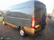 Fiat Ducato - bestel 35L 2.3 MultiJet LH2 Gran Volume - 1 - Thumbnail