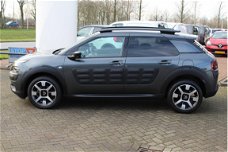 Citroën C4 Cactus - PureTech 110pk Feel Navi Panoramadak